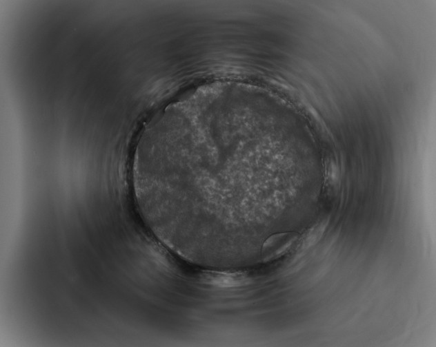 X0000087330663200705112158