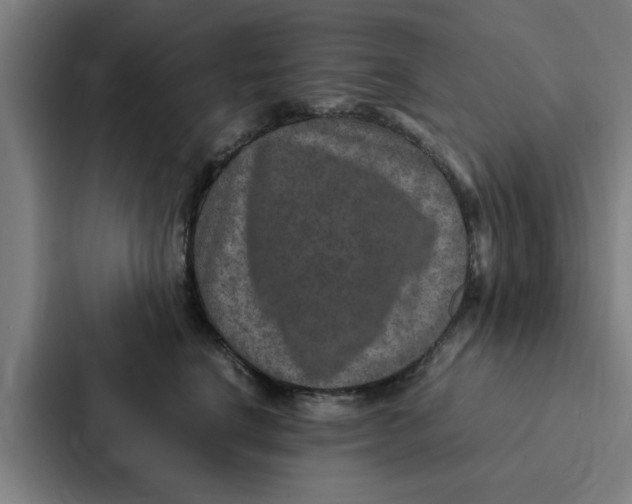 X0000087330664200705112158