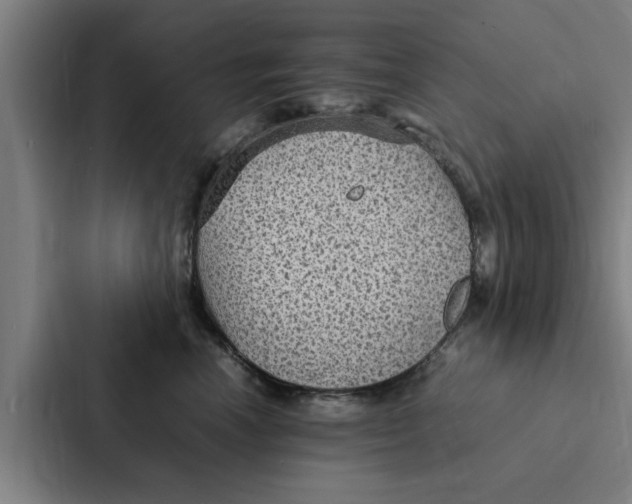 X0000087330666200705112158