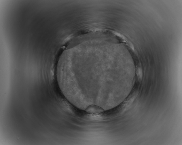 X0000087330668200705112158
