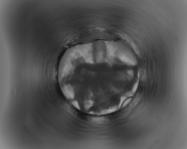 X0000087330669200705112158