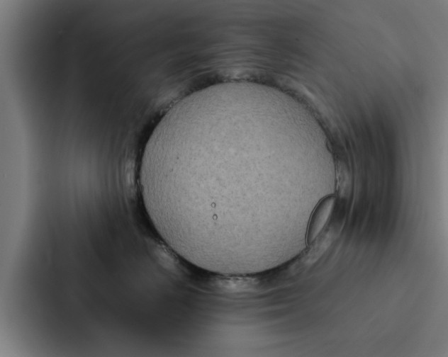 X0000087330670200705112158