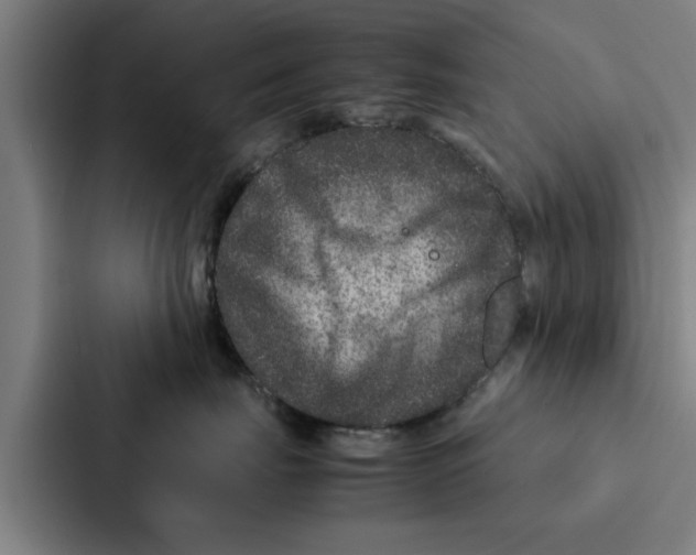 X0000087330671200705112158