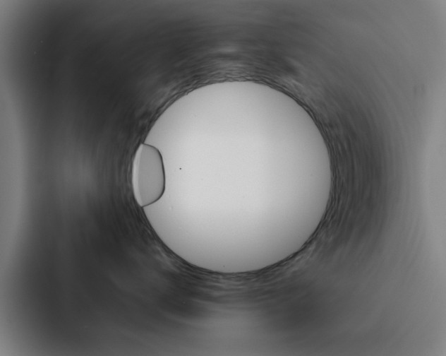 X0000087330672200705112158