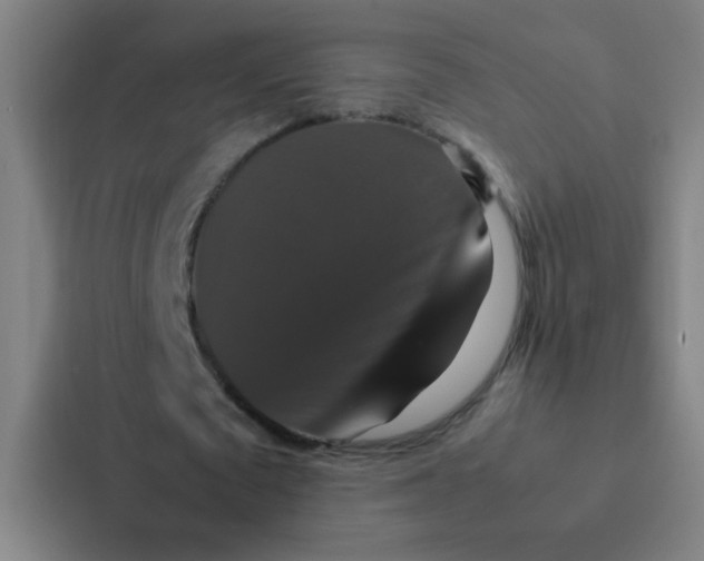 X0000087330673200705112157
