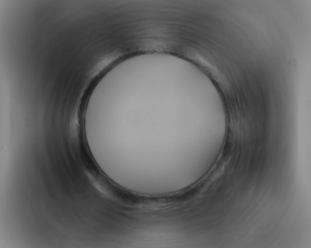 X0000087330674200705112157