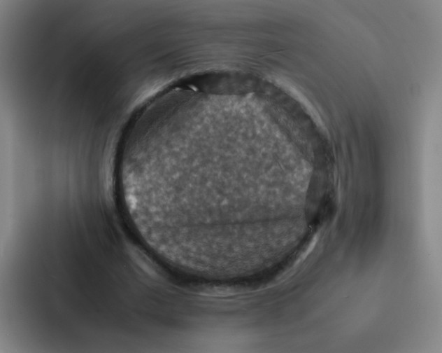X0000087330677200705112157