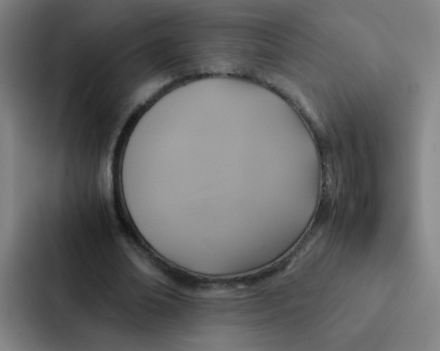X0000087330678200705112157