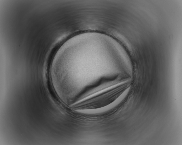 X0000087330680200705112157
