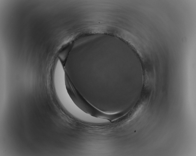 X0000087330681200705112157
