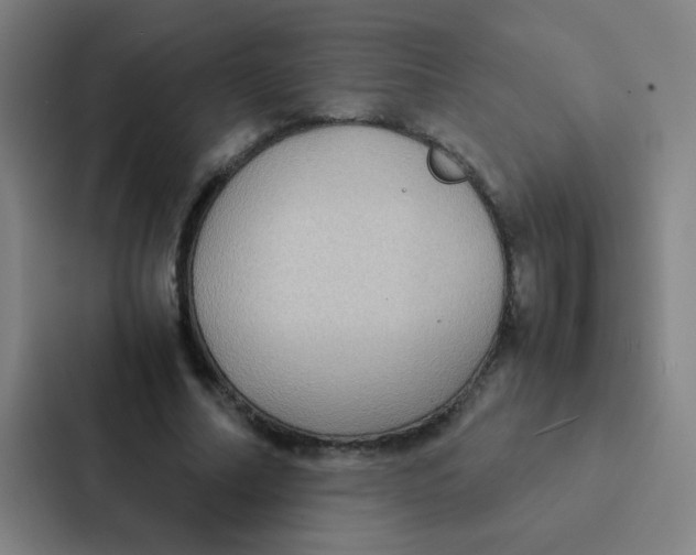 X0000087330682200705112157
