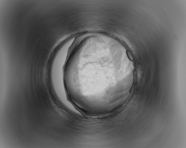 X0000087330684200705112157