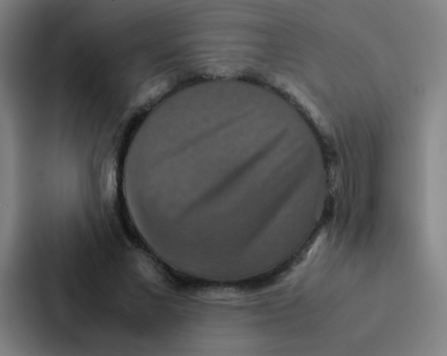 X0000087330685200705112157