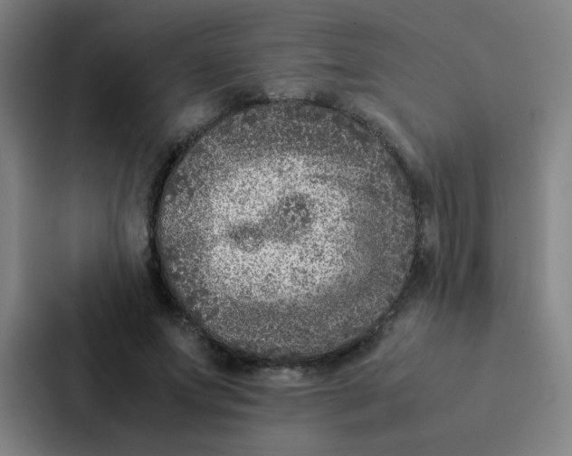 X0000087330687200705112157