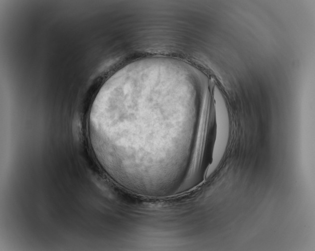 X0000087330688200705112157