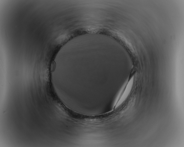 X0000087330689200705112157