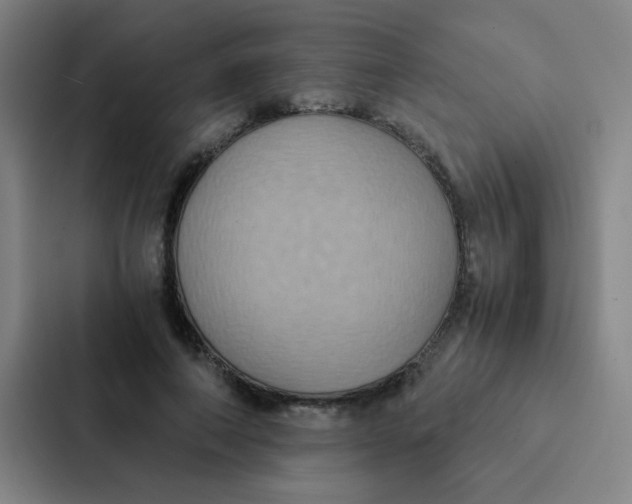 X0000087330690200705112157