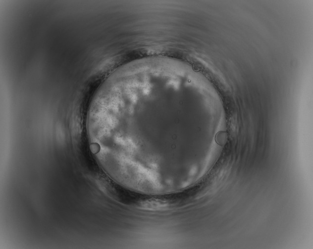X0000087330691200705112157