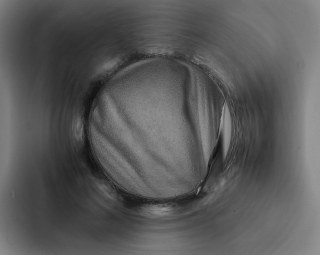 X0000087330692200705112157