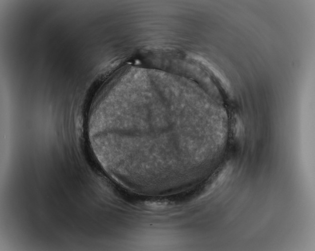 X0000087330693200705112157