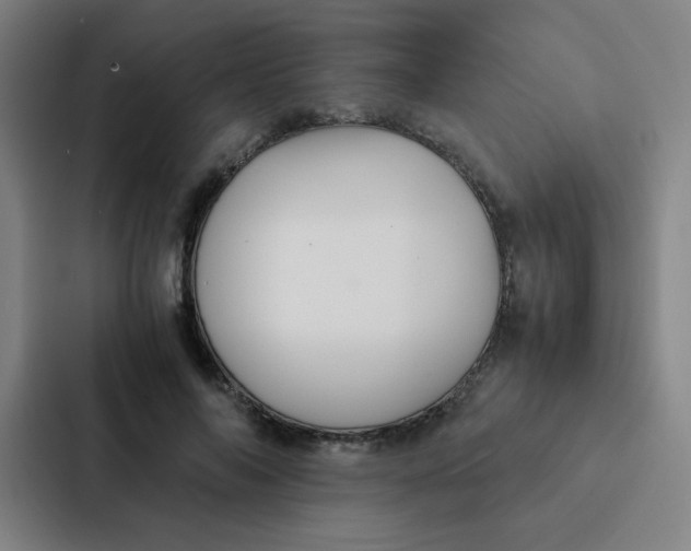 X0000087330694200705112157