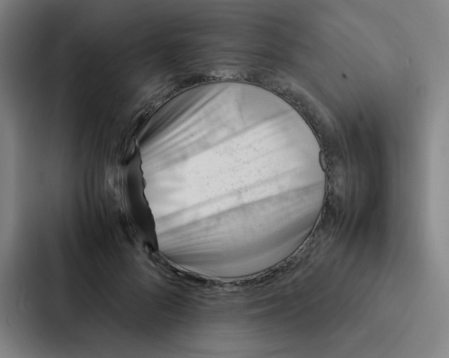 X0000087330696200705112157