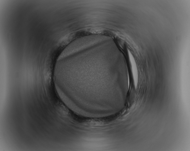 X0000087330697200705112157