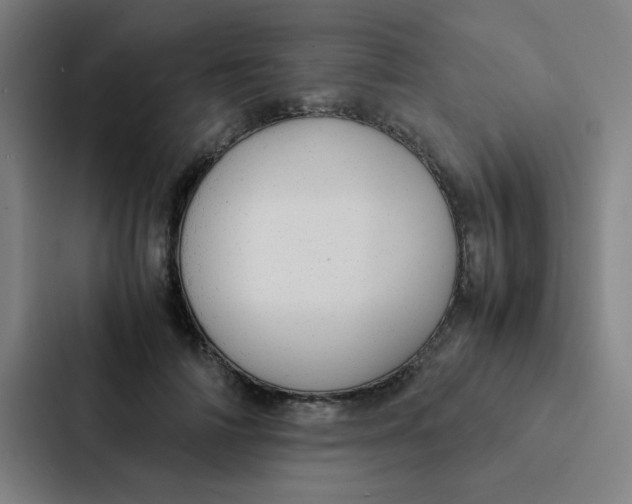X0000087330698200705112157