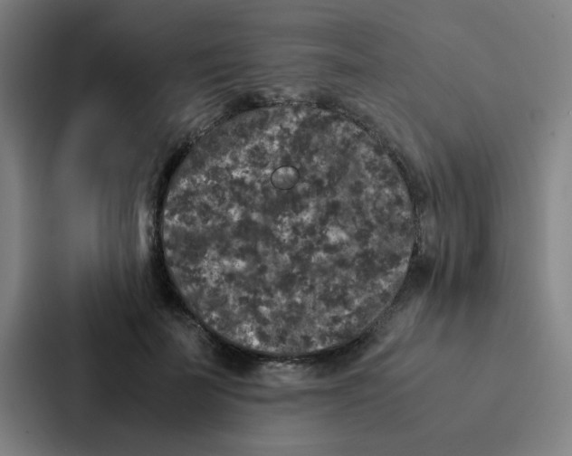 X0000087330699200705112157