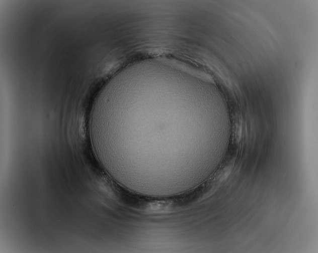 X0000087330700200705112157