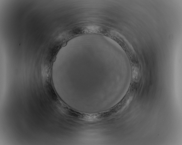 X0000087330701200705112157