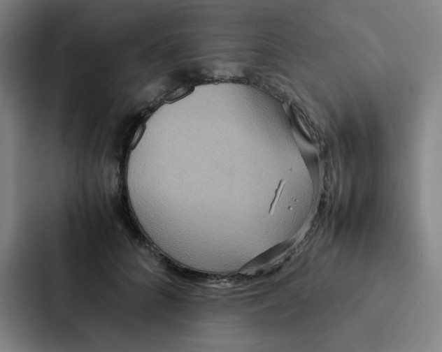 X0000087330704200705112157
