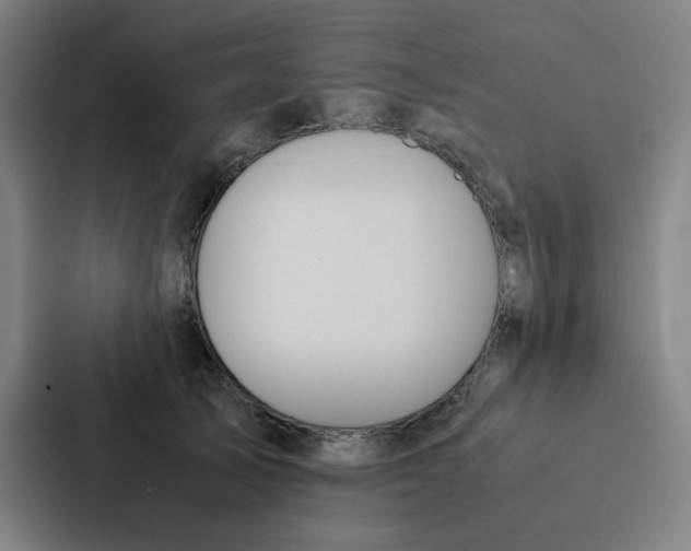 X0000087330705200705112157