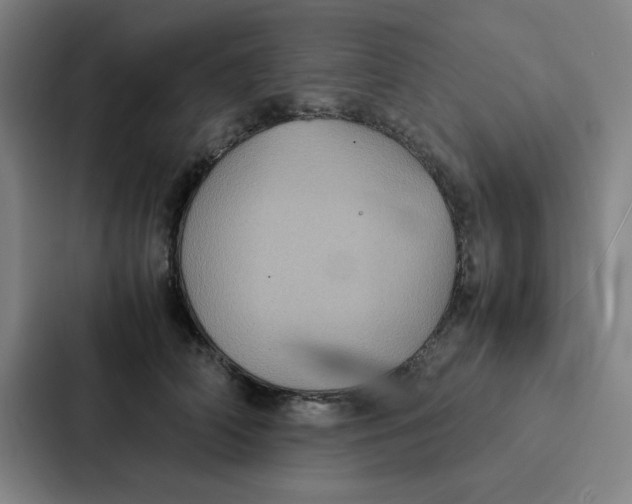 X0000087330706200705112157