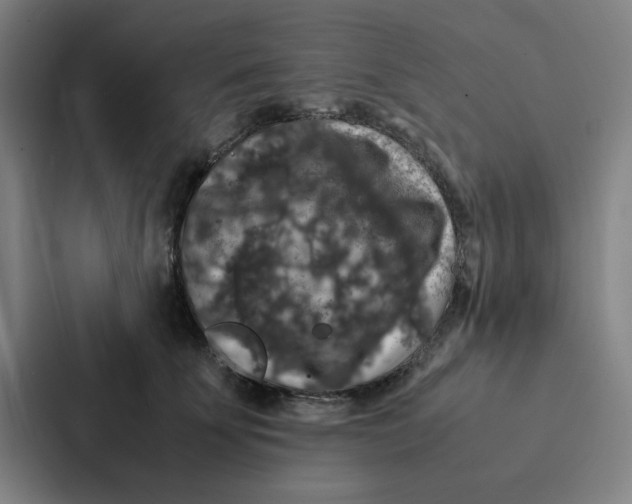 X0000087330707200705112157