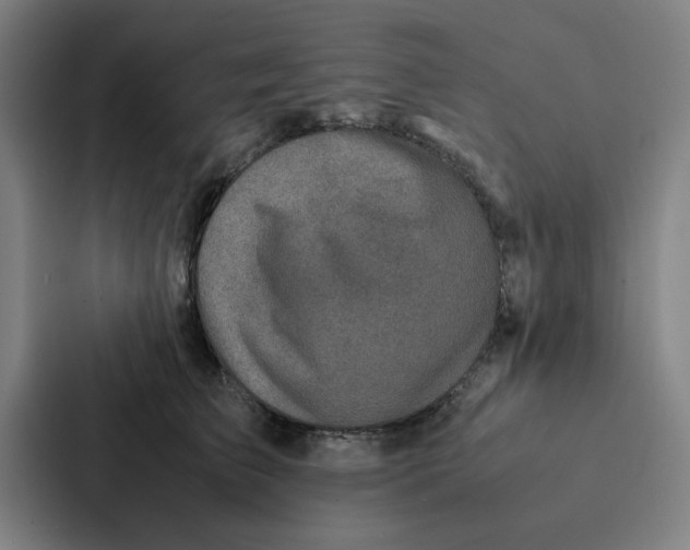 X0000087330709200705112157