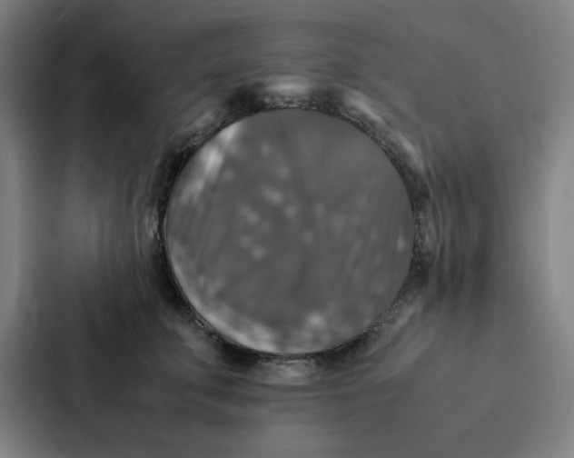X0000087330711200705112157