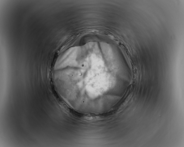 X0000087330712200705112157