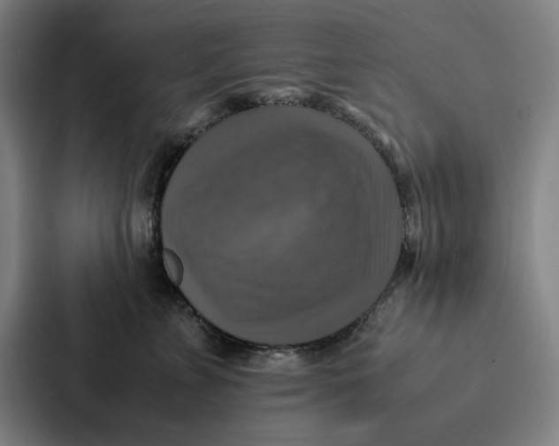 X0000087330715200705112157