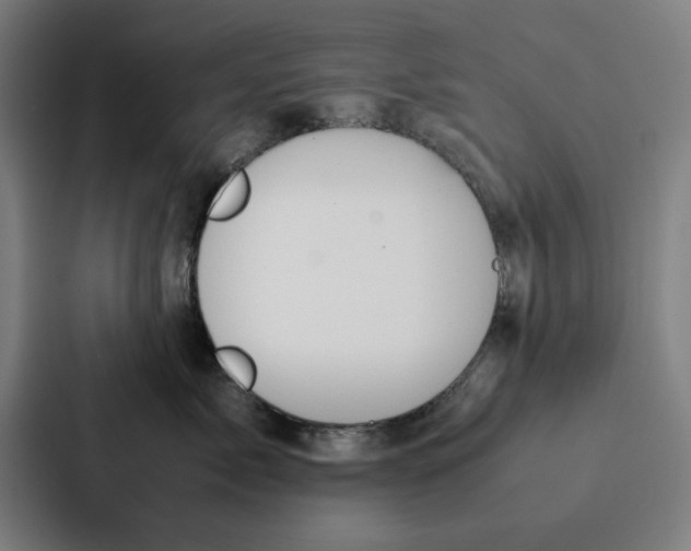 X0000087330717200705112157