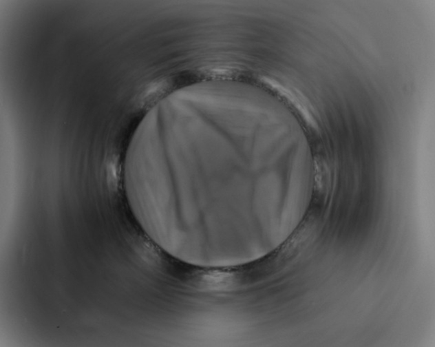 X0000087330718200705112157