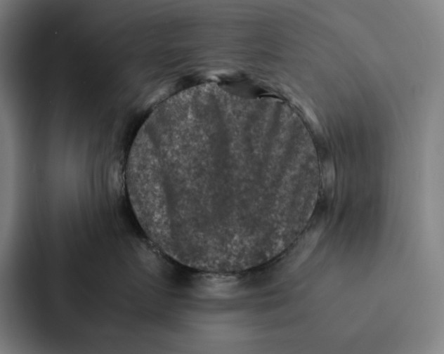 X0000087330719200705112157