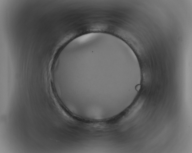 X0000087330721200705112156