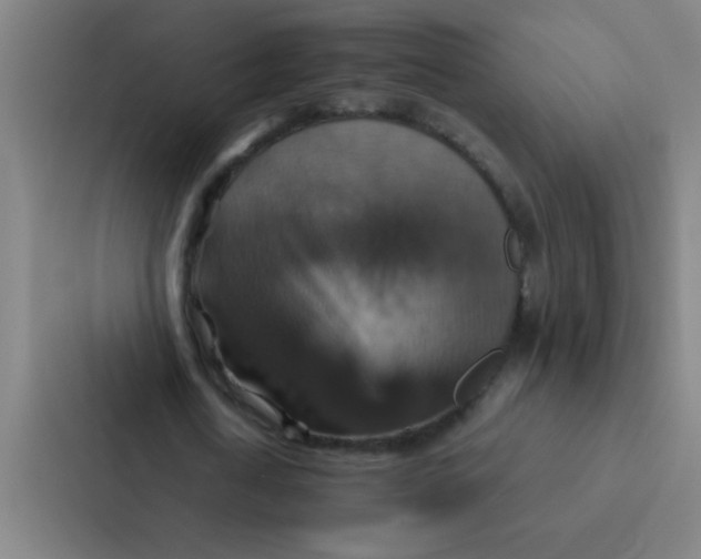 X0000087330722200705112156