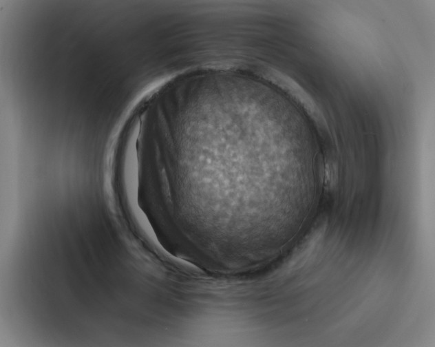 X0000087330724200705112156