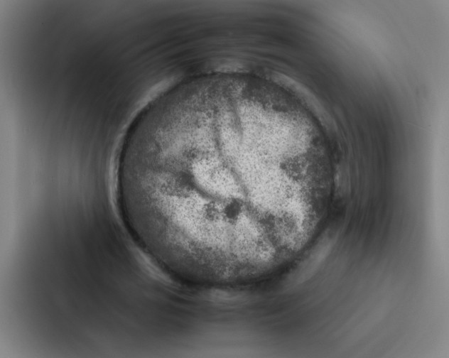 X0000087330725200705112156