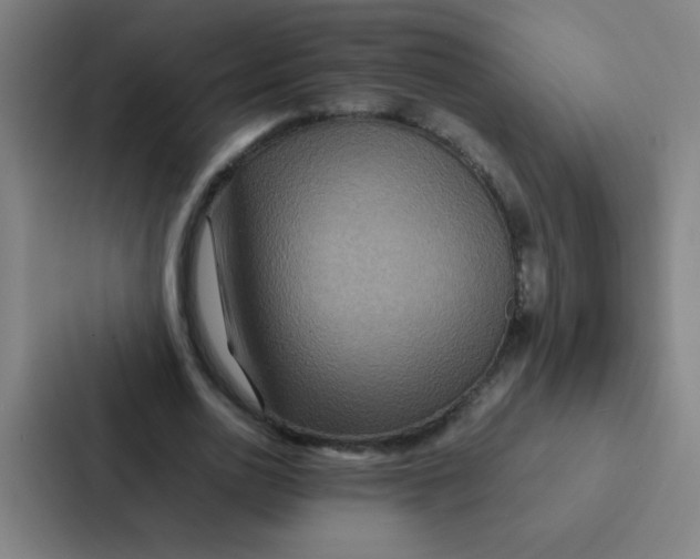X0000087330726200705112156