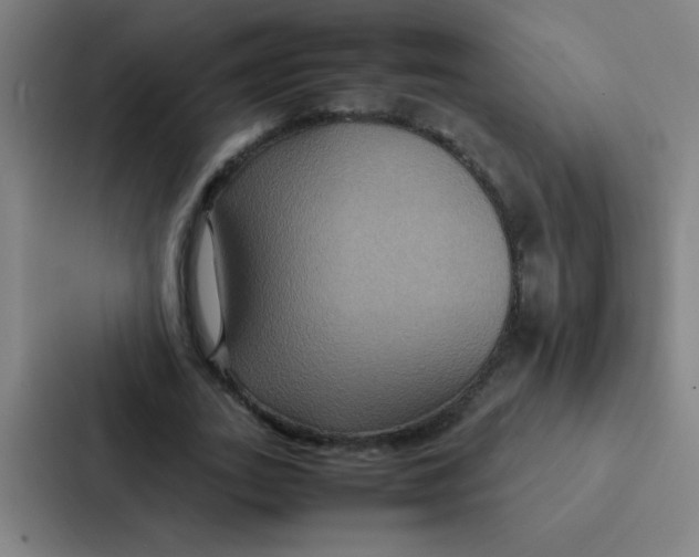X0000087330727200705112156