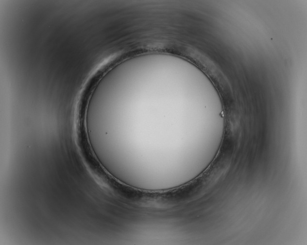X0000087330728200705112156