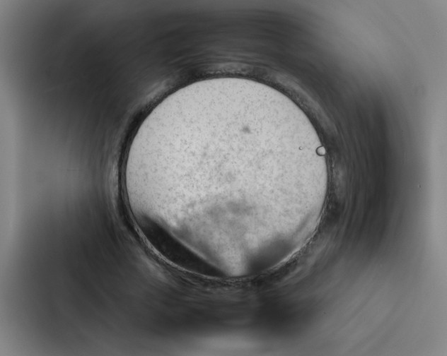 X0000087330729200705112156